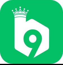 b9 game